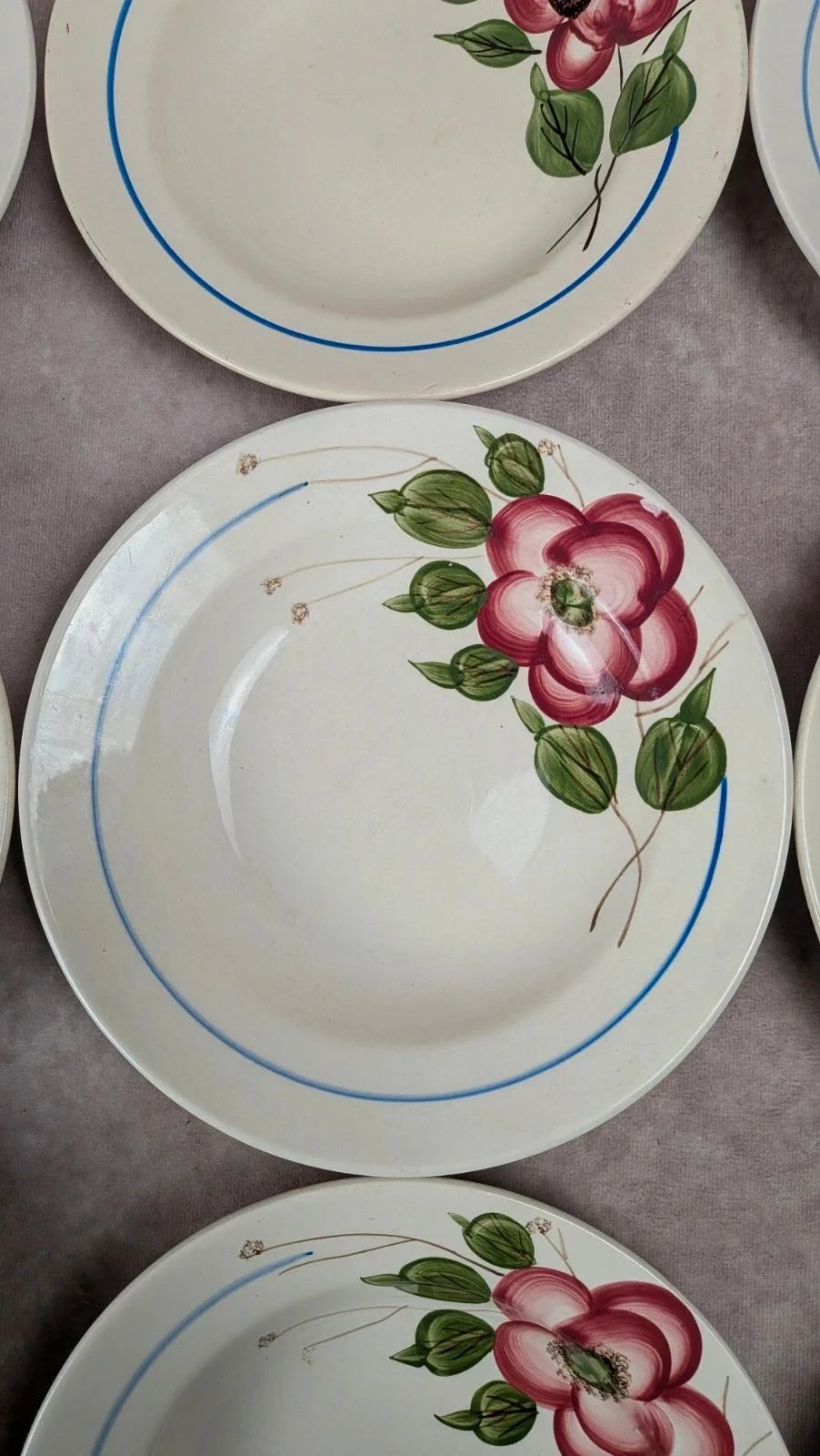 Set of 9 Sarreguemines Liliane model hollow plates – photo 8